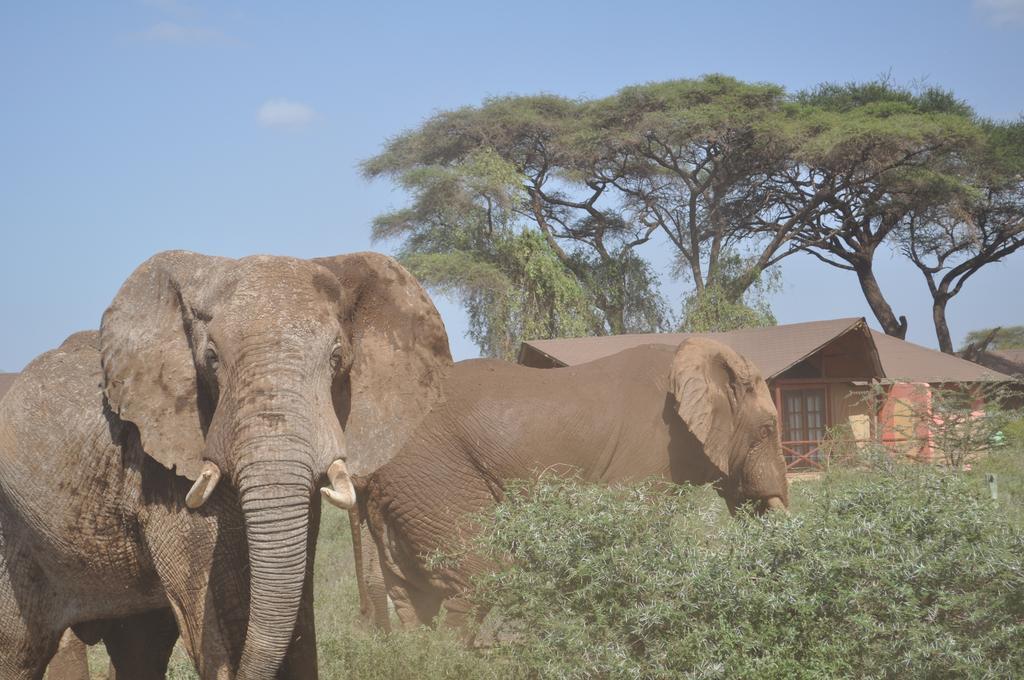 Kilima Safari Camp Hotel อัมโบเซลี ภายนอก รูปภาพ